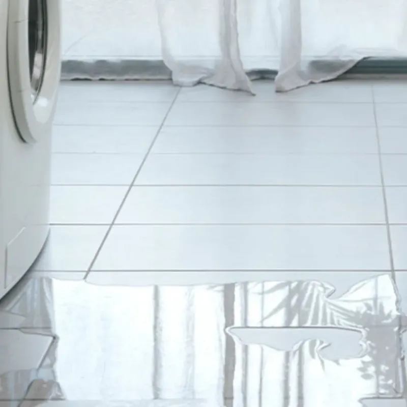 Appliance Leak Cleanup in Kenosha County, WI