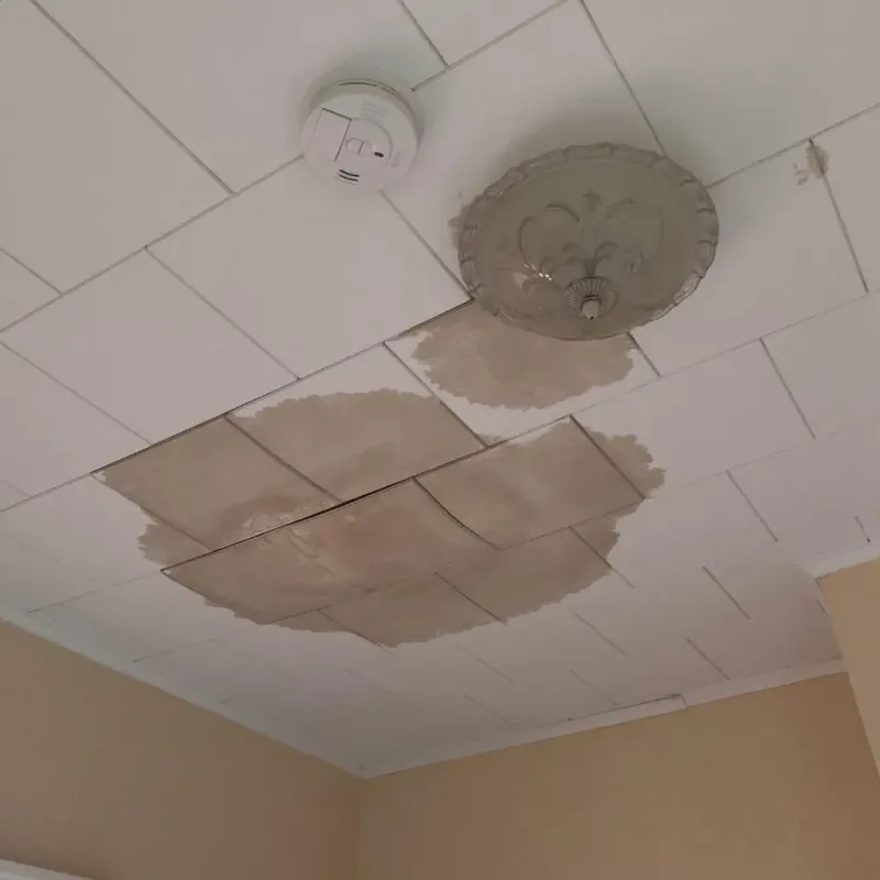 Ceiling Water Damage Repair in Kenosha County, WI