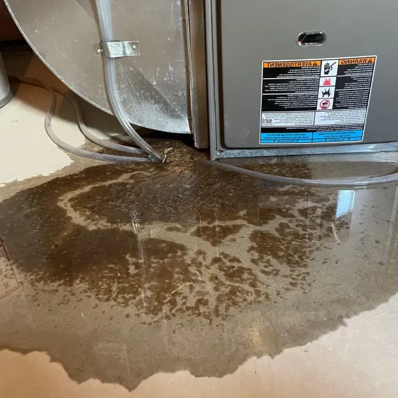 Pipe Burst and Leak Restoration in Kenosha County, WI