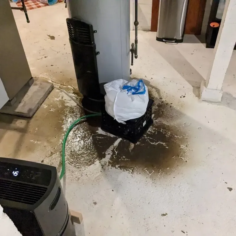 Sewage Backup Cleanup Service in Kenosha County, WI
